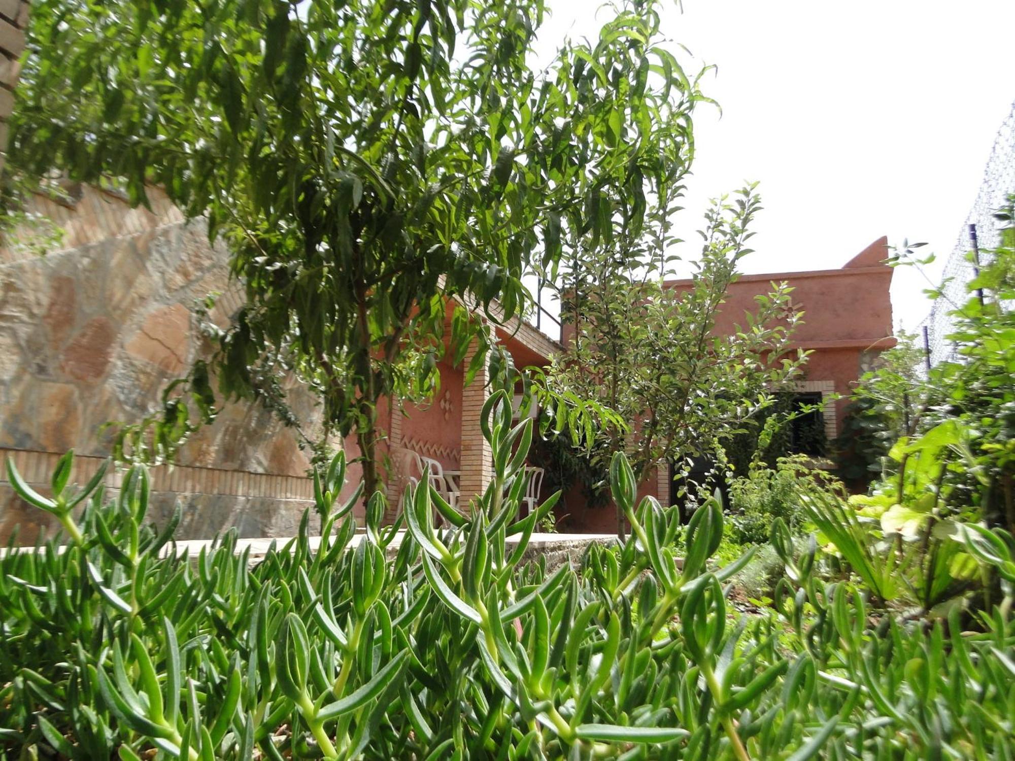 Riad Aslda Asni Esterno foto